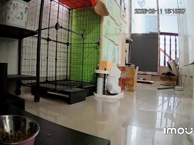 Video đánh giá