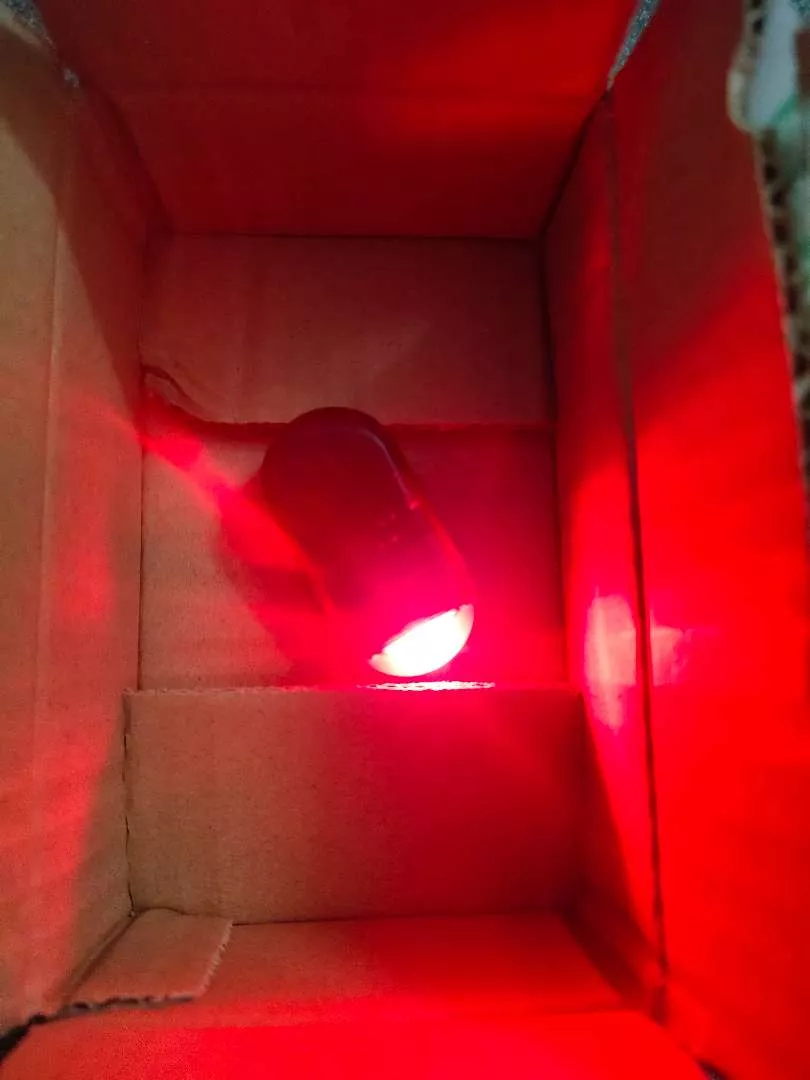 Anti-Theft Car Flashing Led Alarm photo review