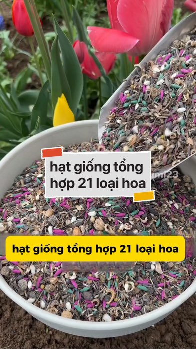 hạt giống tổng hợp 21 loại hoa #VideohangDoiSong#ShopeeVideo#ShopeeCreator #LuotVuiMuaLien#KOLUyTin#Videomuasam #SandealcungKOL #diumi95