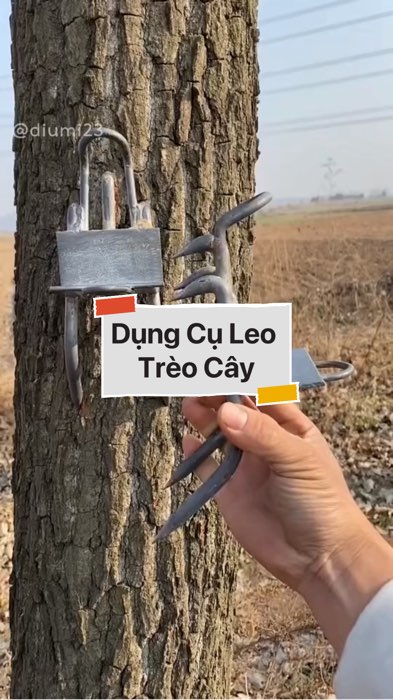 Dụng Cụ Leo Trèo Cây #VideohangDoiSong#ShopeeVideo#ShopeeCreator #LuotVuiMuaLien#KOLUyTin#Videomuasam #SandealcungKOL #diumi137