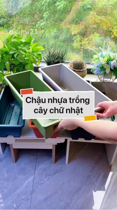 ￼Chậu nhựa trồng cây chữ nhật #VideohangDoiSong#ShopeeVideo#ShopeeCreator #LuotVuiMuaLien#KOLUyTin#Videomuasam #SandealcungKOL #diumi173
