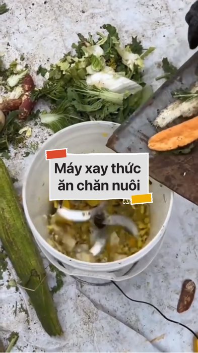 Máy xay thức ăn chăn nuôi #VideohangDoiSong#ShopeeVideo#ShopeeCreator #LuotVuiMuaLien#KOLUyTin#Videomuasam #SandealcungKOL #rev