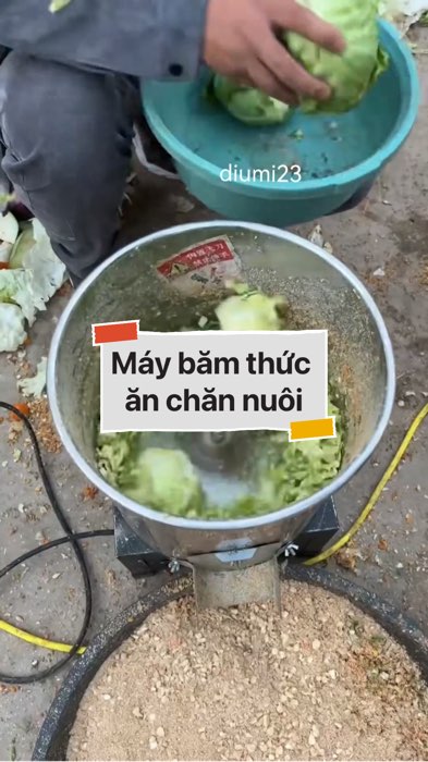 ￼Máy băm thức ăn chăn nuôi #VideohangDoiSong#ShopeeVideo#ShopeeCreator #LuotVuiMuaLien#KOLUyTin#Videomuasam #SandealcungKOL #diumi240
