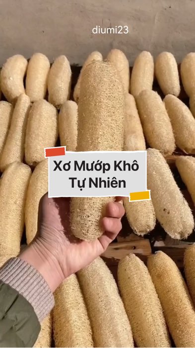 Xơ Mướp Khô Tự Nhiên #VideohangTieuDung #shopeestyle#ShopeeVideo#ShopeeCreator #LuotVuiMuaLien#KOLUyTin#Videomuasam #SandealcungKOL #diumi356