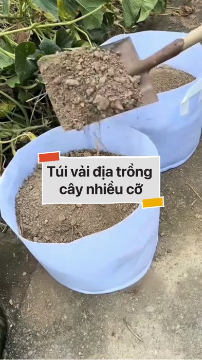 Túi vải địa trồng cây #VideohangDoiSong#ShopeeVideo#ShopeeCreator #LuotVuiMuaLien#KOLUyTin#Videomuasam #SandealcungKOL #diumi548