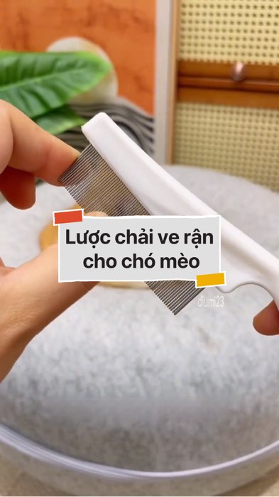 ￼Lược chải ve rận cho thú cưng #VideohangDoiSong#ShopeeVideo#ShopeeCreator #LuotVuiMuaLien#KOLUyTin#Videomuasam #SandealcungKOL #diumi674