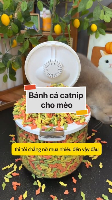 Bánh cá cho mèo #VideohangTieuDung #shopeestyle#ShopeeVideo#ShopeeCreator #LuotVuiMuaLien#KOLUyTin#Videomuasam #SandealcungKOL #diumi679