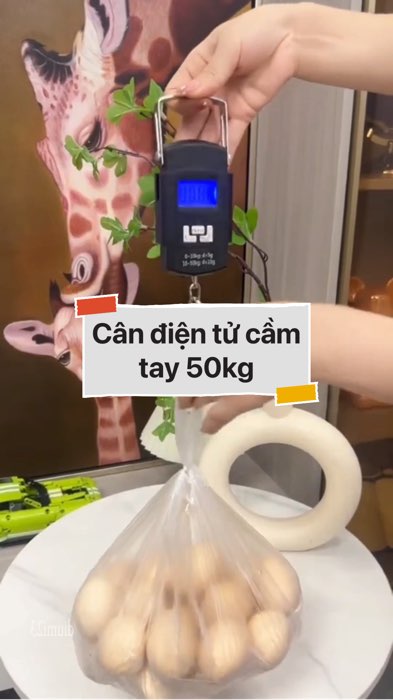 Cân điện tử cầm tay độ chính xác cao