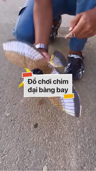 Đồ chơi chim đại bàng bay có đèn nhạc #VideohangDoiSong#ShopeeVideo#ShopeeCreator #LuotVuiMuaLien#KOLUyTin#Videomuasam #SandealcungKOL #diumi760