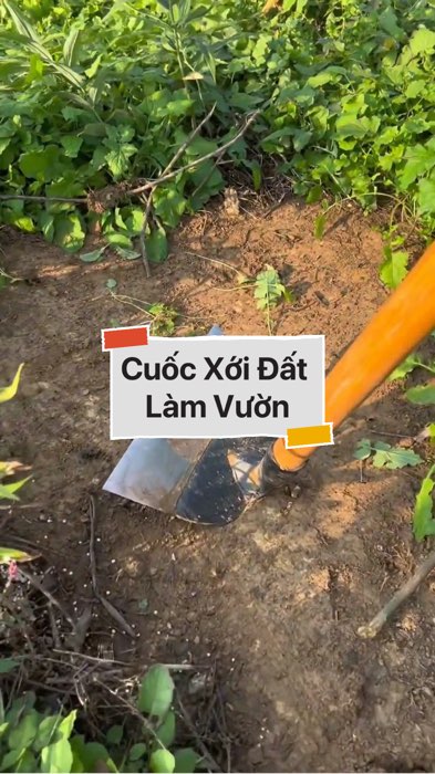 ￼Cuốc Thép Làm Vườn #VideohangDoiSong#ShopeeVideo#ShopeeCreator #LuotVuiMuaLien#KOLUyTin#Videomuasam #SandealcungKOL #diumi823