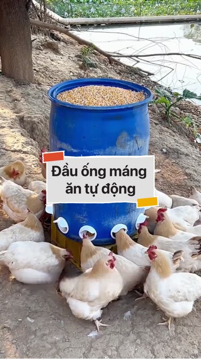 Đầu ống máng ăn tự động #VideohangDoiSong#ShopeeVideo#ShopeeCreator #LuotVuiMuaLien#KOLUyTin#Videomuasam #SandealcungKOL #diumi827