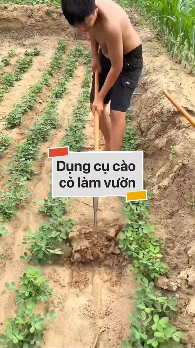 Dụng cụ cào cỏ làm vườn #VideohangDoiSong#ShopeeVideo#ShopeeCreator #LuotVuiMuaLien#KOLUyTin#Videomuasam #SandealcungKOL #diumi925