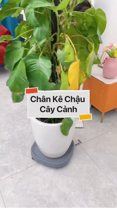 Chân Kê Chậu Cây Cảnh #VideoHangGiaDung#shopeestyle#ShopeeVideo#ShopeeCreator #LuotVuiMuaLien #diumi930