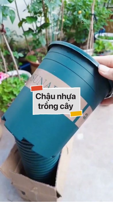 ￼Chậu nhựa trồng cây kèm đĩa lót #VideohangDoiSong#ShopeeVideo#ShopeeCreator #LuotVuiMuaLien#KOLUyTin#Videomuasam #SandealcungKOL #diumi48