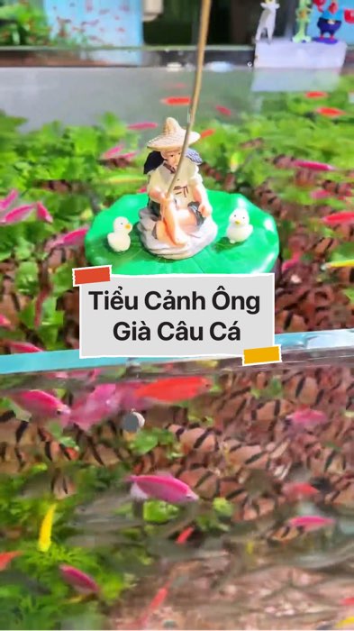 ￼Tiểu Cảnh Ông Già Câu Cá #VideohangDoiSong#ShopeeVideo#ShopeeCreator #LuotVuiMuaLien#KOLUyTin#Videomuasam #SandealcungKOL #diumi138
