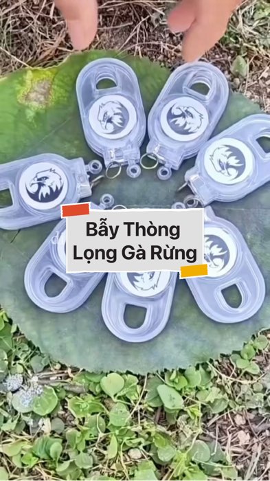 Bẫy Thòng Lọng Gà Rừng #VideohangDoiSong#ShopeeVideo#ShopeeCreator #LuotVuiMuaLien#KOLUyTin#Videomuasam #SandealcungKOL #diumi198