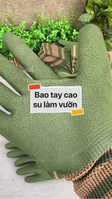 ￼Bao Tay Làm Vườn Phủ Nhựa Xanh #VideohangDoiSong#ShopeeVideo#ShopeeCreator #LuotVuiMuaLien#KOLUyTin#Videomuasam #SandealcungKOL #diumi832