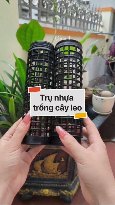 ￼Trụ nhựa trồng cây leo #VideohangDoiSong#ShopeeVideo#ShopeeCreator #LuotVuiMuaLien#KOLUyTin#Videomuasam #SandealcungKOL #diumi143
