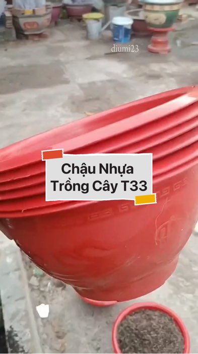 ￼Chậu Nhựa Trồng Cây #VideohangDoiSong#ShopeeVideo#ShopeeCreator #LuotVuiMuaLien#KOLUyTin#Videomuasam #SandealcungKOL #diumi192