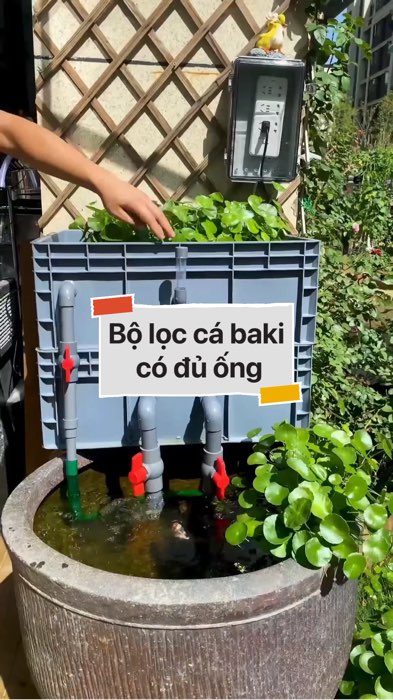 Bộ lọc cá baki có đủ ống #VideohangDoiSong#ShopeeVideo#ShopeeCreator #LuotVuiMuaLien#KOLUyTin#Videomuasam #SandealcungKOL #diumi313