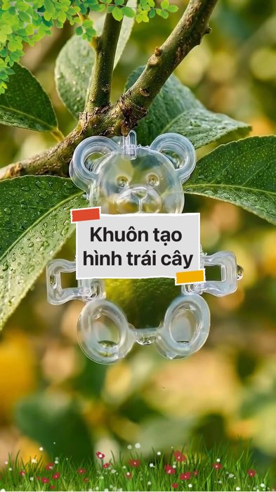 Khuôn tạo hình trái cây #VideohangDoiSong#ShopeeVideo#ShopeeCreator #LuotVuiMuaLien#KOLUyTin#Videomuasam #SandealcungKOL #diumi468