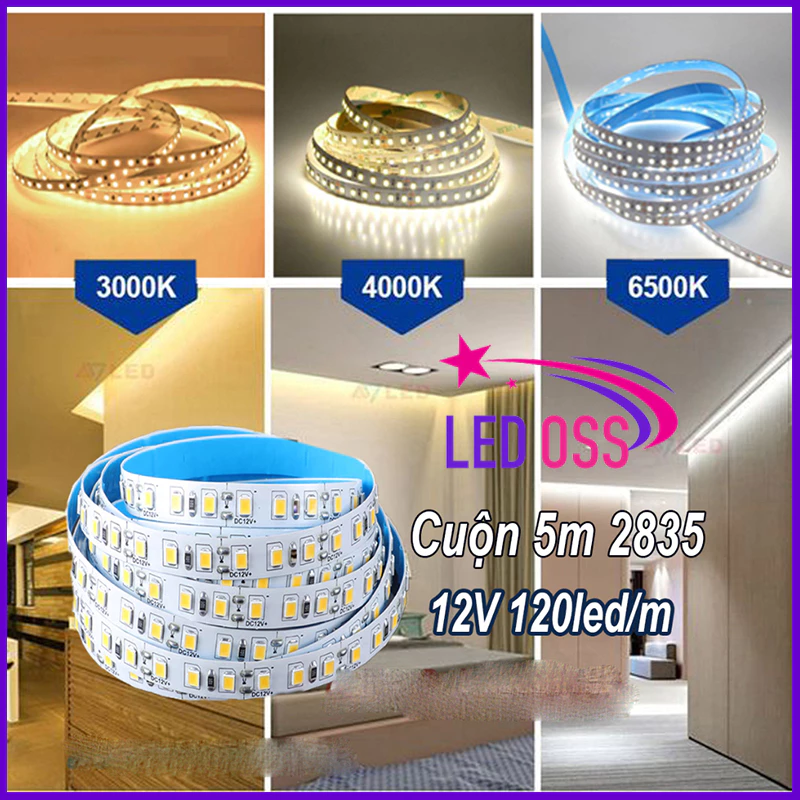 Đèn LED dây dán 12V 120 led/m 2835 SMD cao cấp